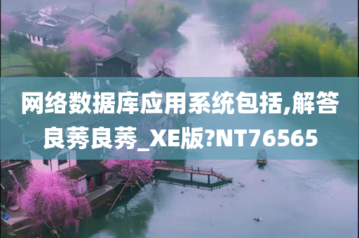 网络数据库应用系统包括,解答良莠良莠_XE版?NT76565