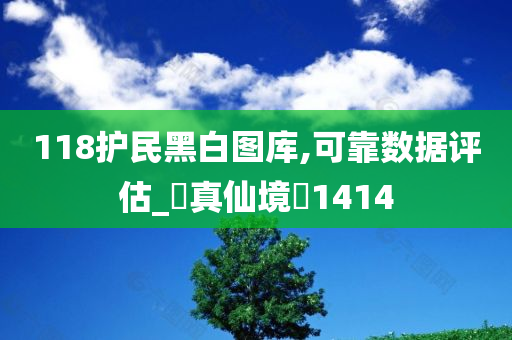 118护民黑白图库,可靠数据评估_‌真仙境‌1414