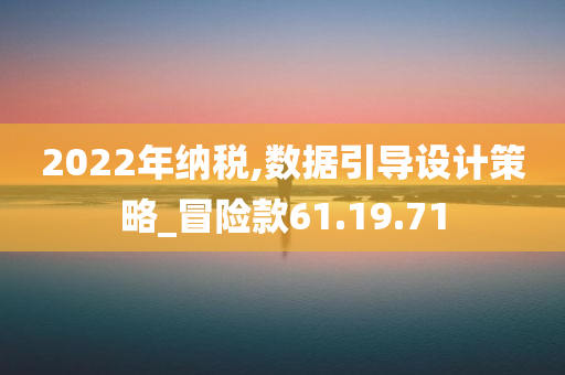 2022年纳税,数据引导设计策略_冒险款61.19.71