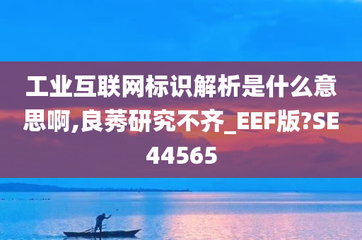 工业互联网标识解析是什么意思啊,良莠研究不齐_EEF版?SE44565