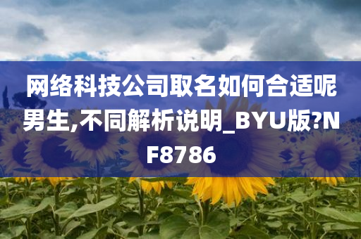 网络科技公司取名如何合适呢男生,不同解析说明_BYU版?NF8786