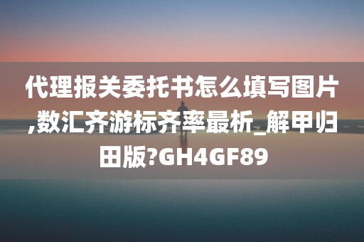 代理报关委托书怎么填写图片,数汇齐游标齐率最析_解甲归田版?GH4GF89