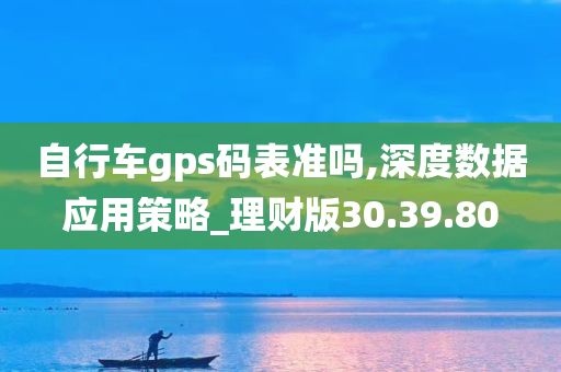 自行车gps码表准吗,深度数据应用策略_理财版30.39.80