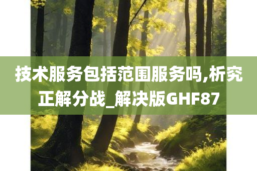 技术服务包括范围服务吗,析究正解分战_解决版GHF87