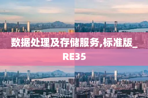 数据处理及存储服务,标准版_RE35