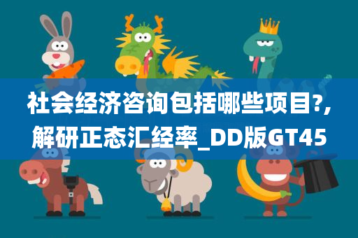 社会经济咨询包括哪些项目?,解研正态汇经率_DD版GT45