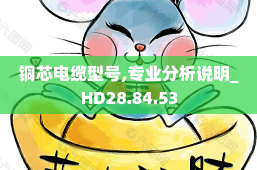 铜芯电缆型号,专业分析说明_HD28.84.53