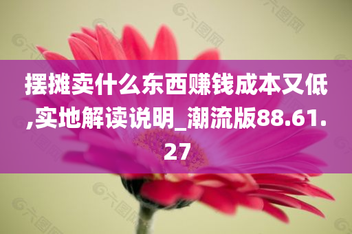 摆摊卖什么东西赚钱成本又低,实地解读说明_潮流版88.61.27