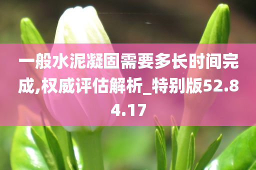 一般水泥凝固需要多长时间完成,权威评估解析_特别版52.84.17