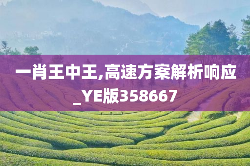 一肖王中王,高速方案解析响应_YE版358667