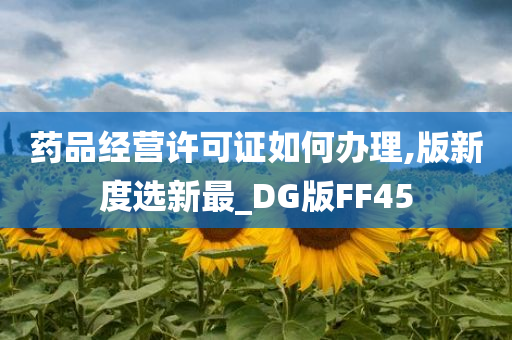 药品经营许可证如何办理,版新度选新最_DG版FF45