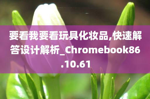 要看我要看玩具化妆品,快速解答设计解析_Chromebook86.10.61