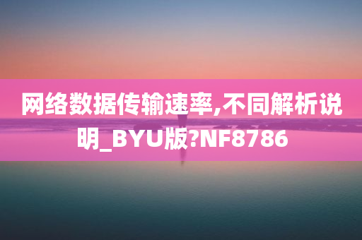 网络数据传输速率,不同解析说明_BYU版?NF8786