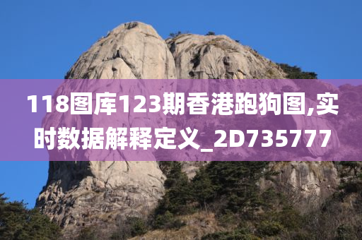 118图库123期香港跑狗图,实时数据解释定义_2D735777