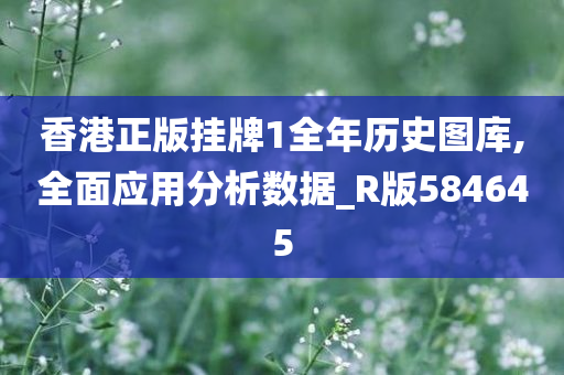 香港正版挂牌1全年历史图库,全面应用分析数据_R版584645