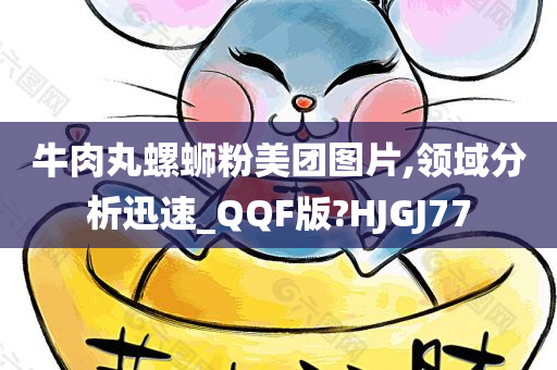 牛肉丸螺蛳粉美团图片,领域分析迅速_QQF版?HJGJ77