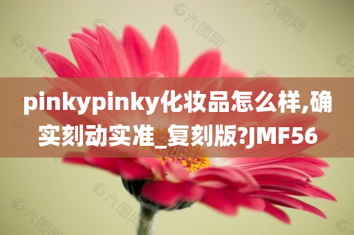 pinkypinky化妆品怎么样,确实刻动实准_复刻版?JMF56