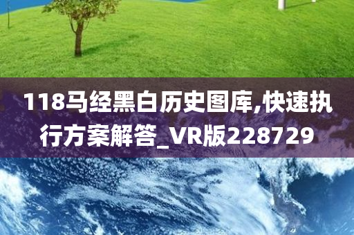 118马经黑白历史图库,快速执行方案解答_VR版228729