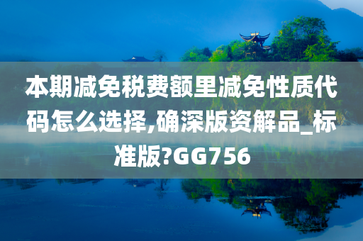 本期减免税费额里减免性质代码怎么选择,确深版资解品_标准版?GG756