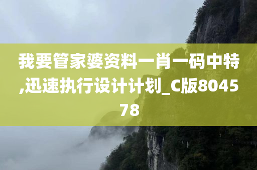 我要管家婆资料一肖一码中特,迅速执行设计计划_C版804578