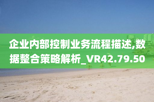 企业内部控制业务流程描述,数据整合策略解析_VR42.79.50