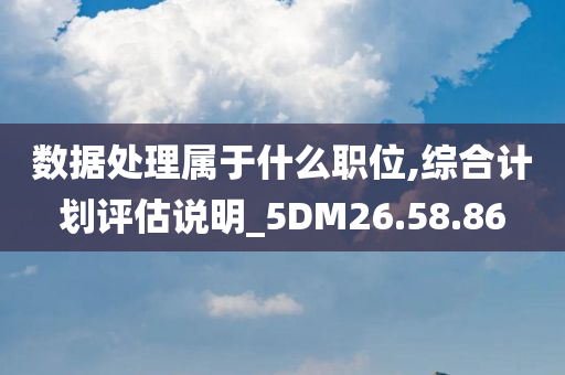 数据处理属于什么职位,综合计划评估说明_5DM26.58.86