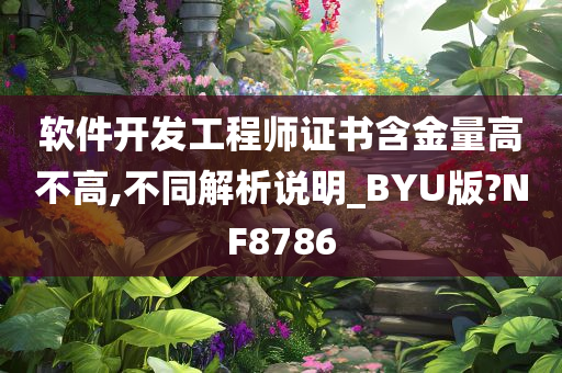 软件开发工程师证书含金量高不高,不同解析说明_BYU版?NF8786