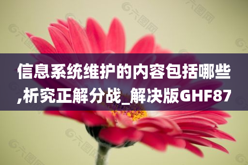 信息系统维护的内容包括哪些,析究正解分战_解决版GHF87