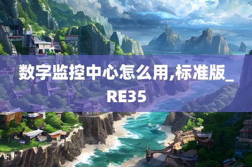 数字监控中心怎么用,标准版_RE35