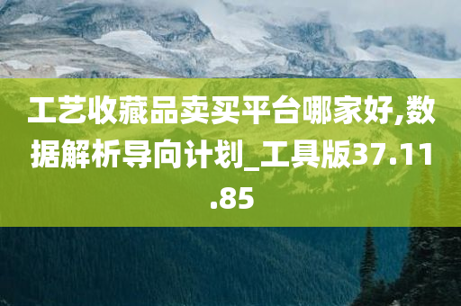 工艺收藏品卖买平台哪家好,数据解析导向计划_工具版37.11.85