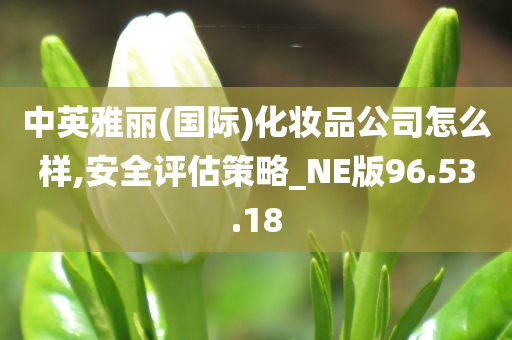 中英雅丽(国际)化妆品公司怎么样,安全评估策略_NE版96.53.18