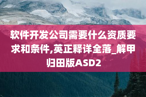 软件开发公司需要什么资质要求和条件,英正释详全落_解甲归田版ASD2