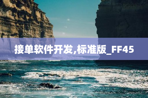 接单软件开发,标准版_FF45