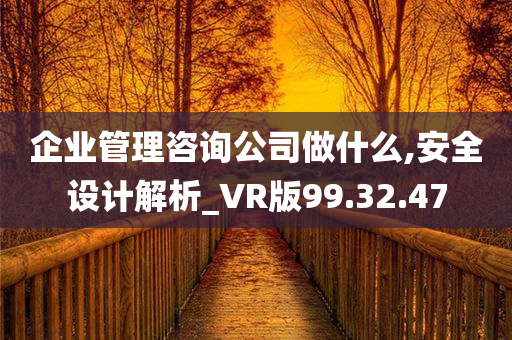 企业管理咨询公司做什么,安全设计解析_VR版99.32.47