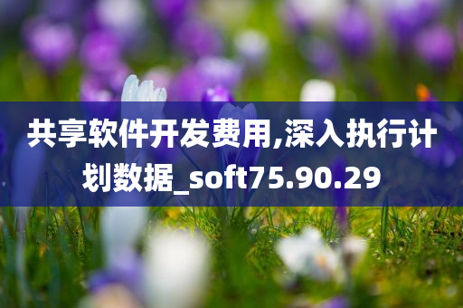 共享软件开发费用,深入执行计划数据_soft75.90.29