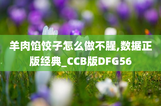 羊肉馅饺子怎么做不腥,数据正版经典_CCB版DFG56