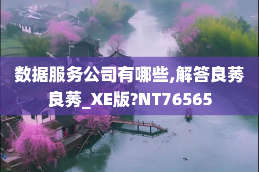 数据服务公司有哪些,解答良莠良莠_XE版?NT76565