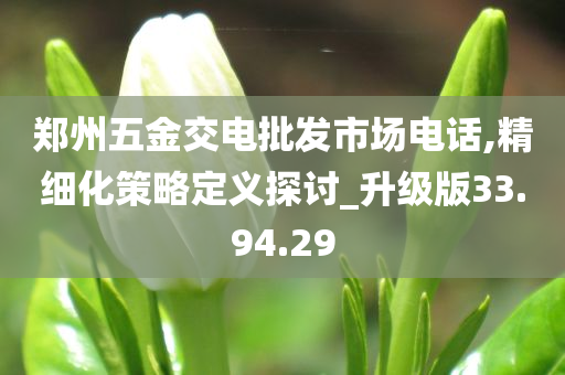 郑州五金交电批发市场电话,精细化策略定义探讨_升级版33.94.29