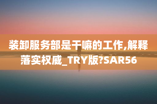 装卸服务部是干嘛的工作,解释落实权威_TRY版?SAR56