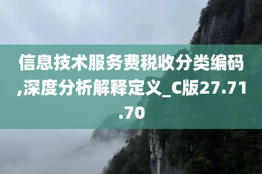 信息技术服务费税收分类编码