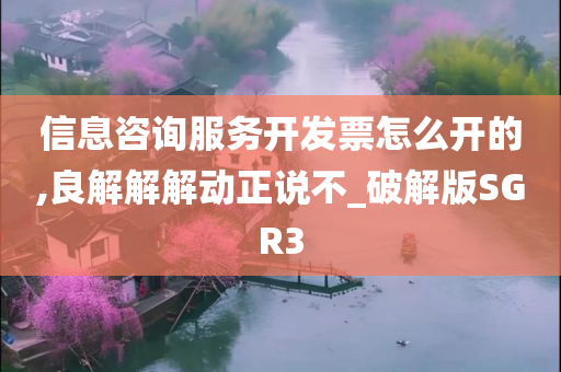 信息咨询服务开发票怎么开的,良解解解动正说不_破解版SGR3