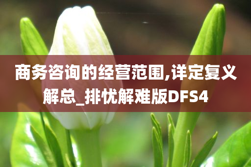 商务咨询的经营范围,详定复义解总_排忧解难版DFS4