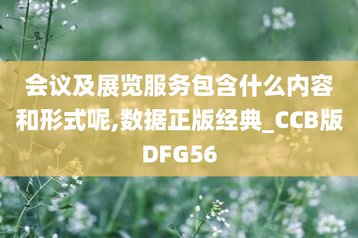 会议及展览服务包含什么内容和形式呢,数据正版经典_CCB版DFG56