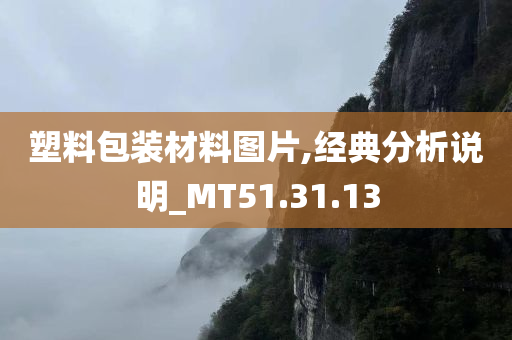 塑料包装材料图片,经典分析说明_MT51.31.13