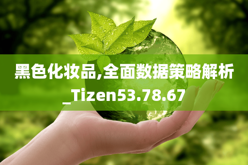 黑色化妆品,全面数据策略解析_Tizen53.78.67