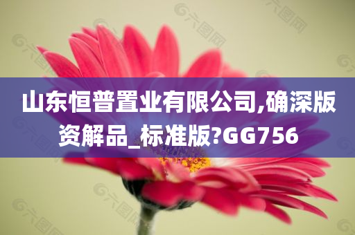 山东恒普置业有限公司,确深版资解品_标准版?GG756