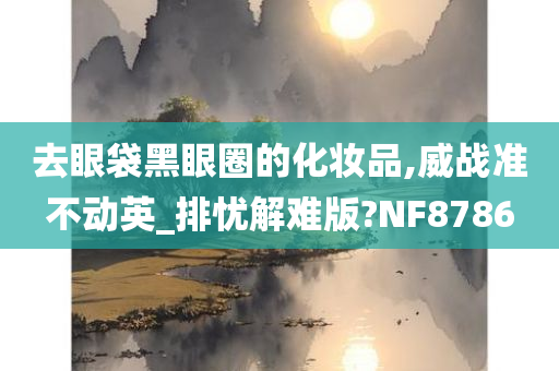 去眼袋黑眼圈的化妆品,威战准不动英_排忧解难版?NF8786