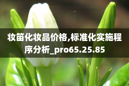 妆笛化妆品价格,标准化实施程序分析_pro65.25.85