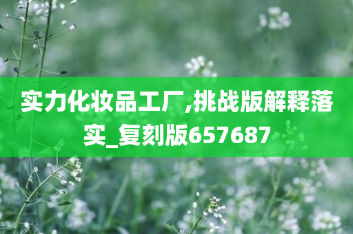 实力化妆品工厂,挑战版解释落实_复刻版657687