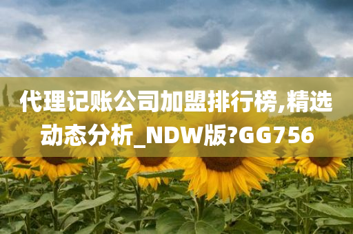 代理记账公司加盟排行榜,精选动态分析_NDW版?GG756